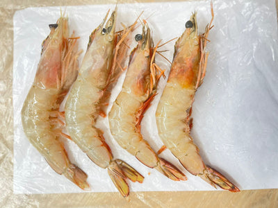 WHITE SHRIMP/CHAKA (Raw Head on Shell on-HOSO) 750G (16-20 psc)