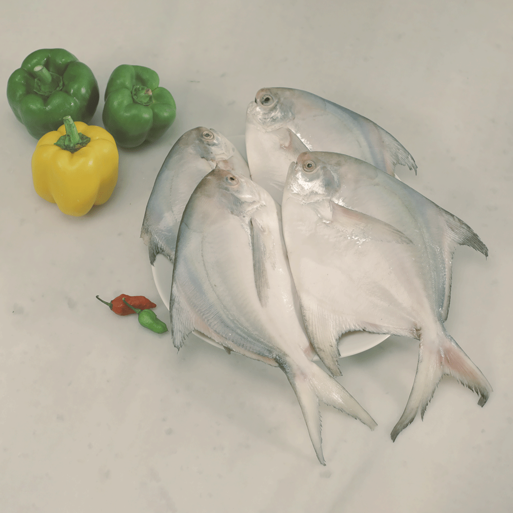 Silver Pomfret 5-7 PCS KG