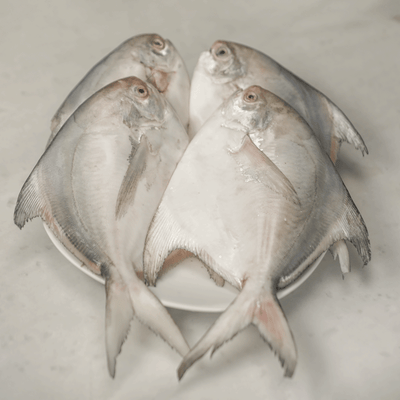 Silver Pomfret 5-7 PCS KG