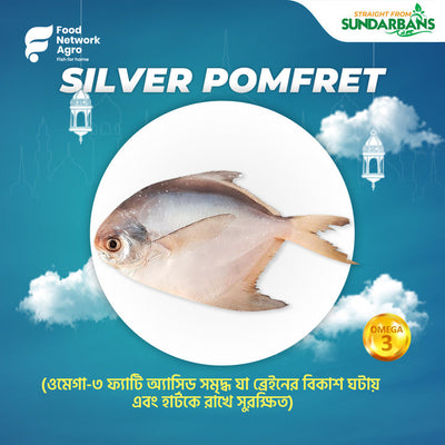 Silver Pomfret 5-7 PCS KG