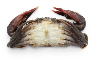 Whole Round Soft Shell Crab 10-18 pcs KG