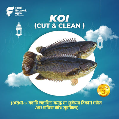 KOI FISH CUT & CLEAN (CULTURED) 1KG