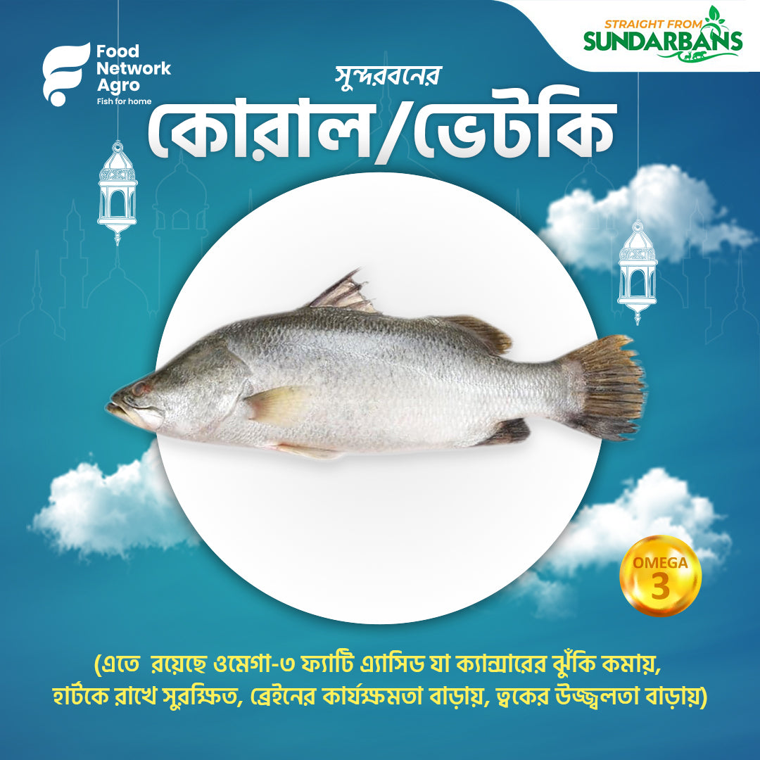 Sundarbans Bhetki/Koral 1kg