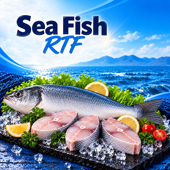 Sea Fish RTF