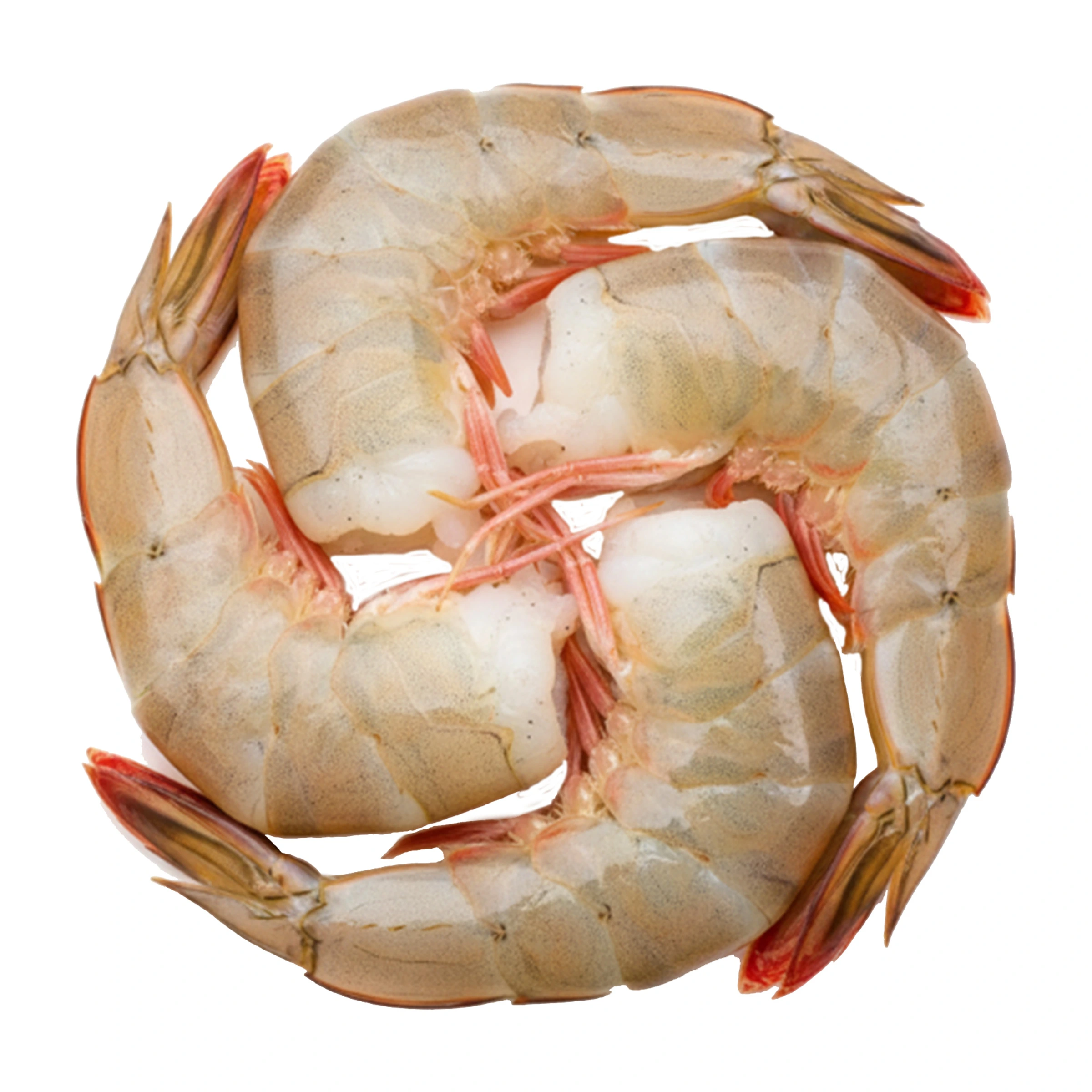 Chaka Shrimp headless Colossal 1000 gm