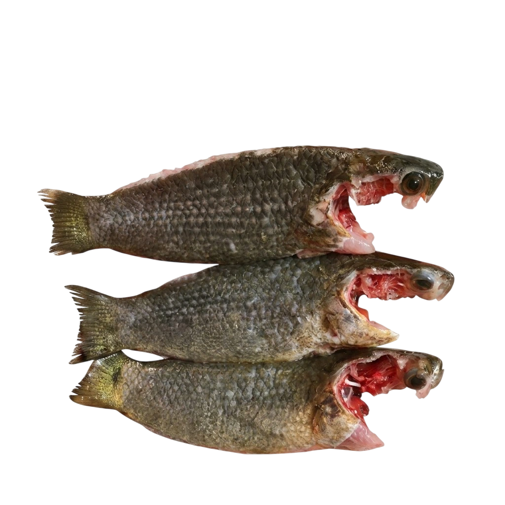 Deshi Koi Cut & Clean 250g ±10gm