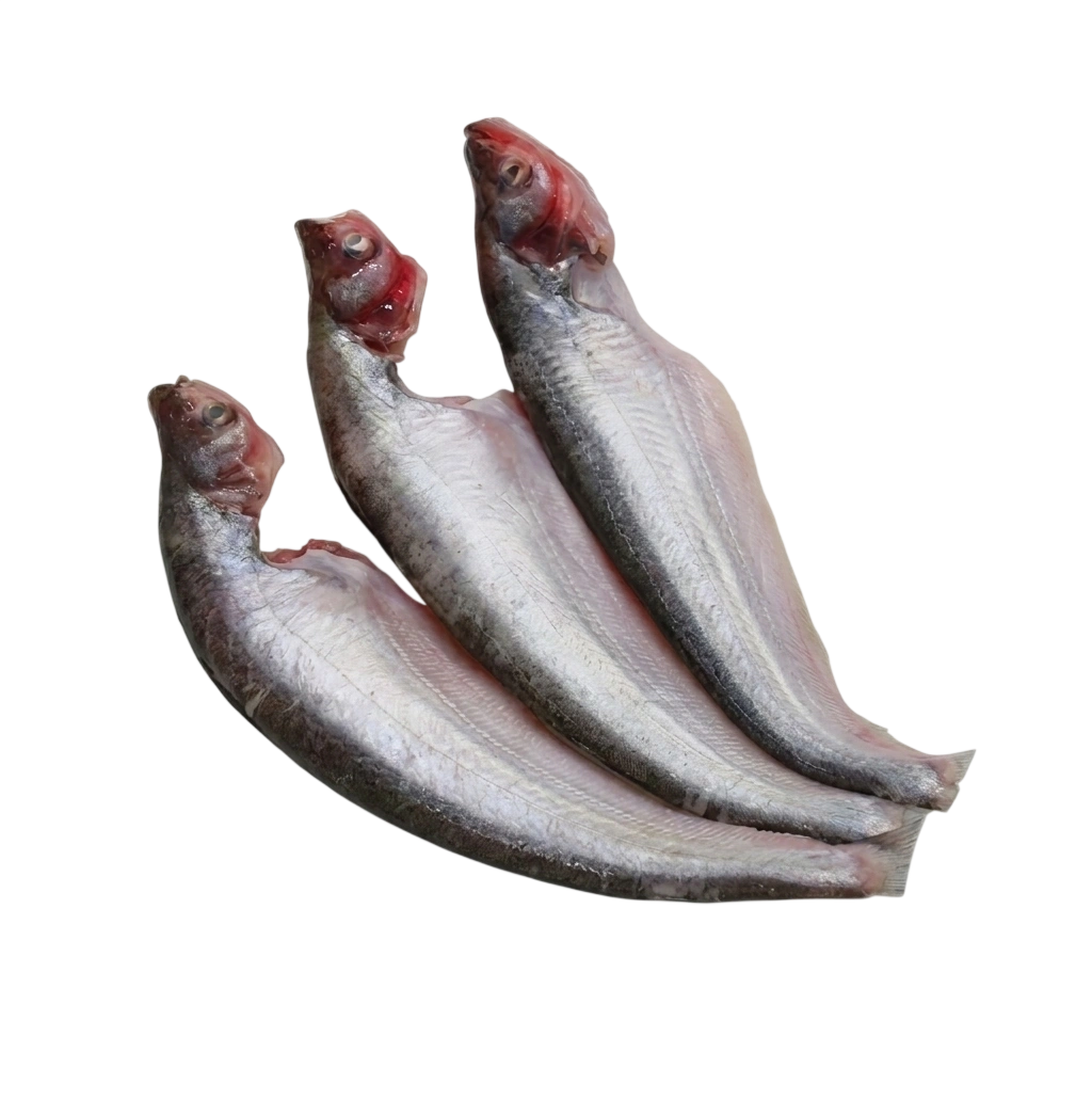 Rajshahi Pabda Cut & Clean (3Piece) 120g ±5gm