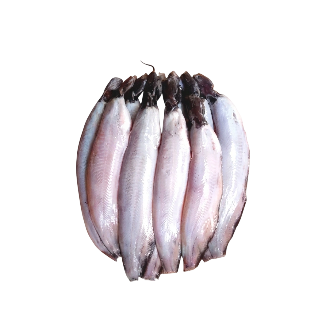 Shing Fish Farmed Raised Cut & Clean 500g ±20gm