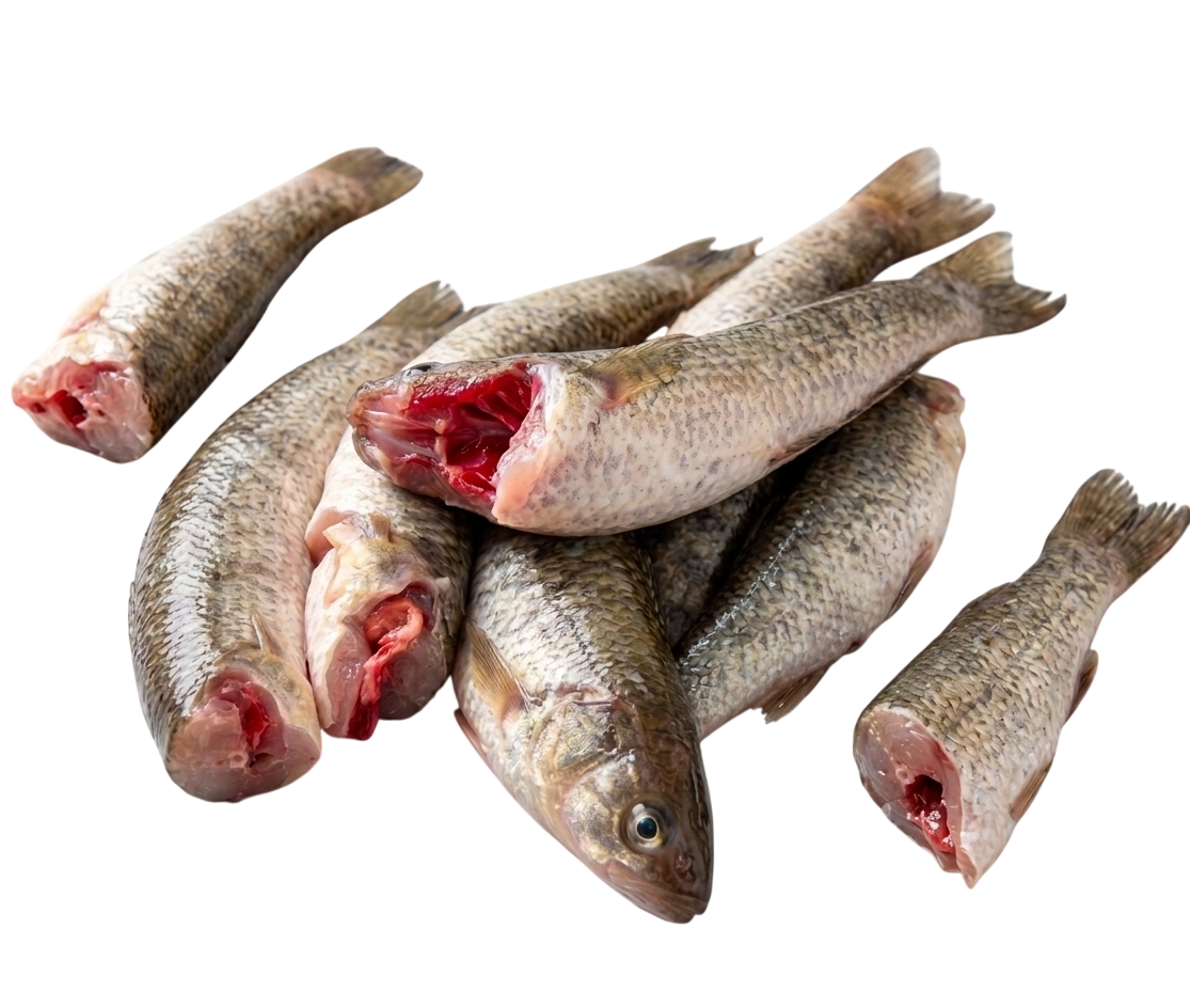Taki Fish Cut & Clean 500g ±20gm