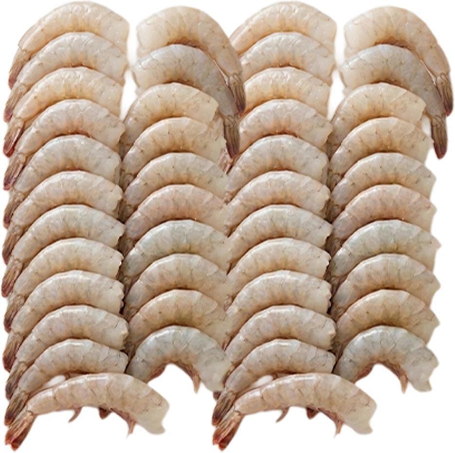 Premium Horina Headless Fish