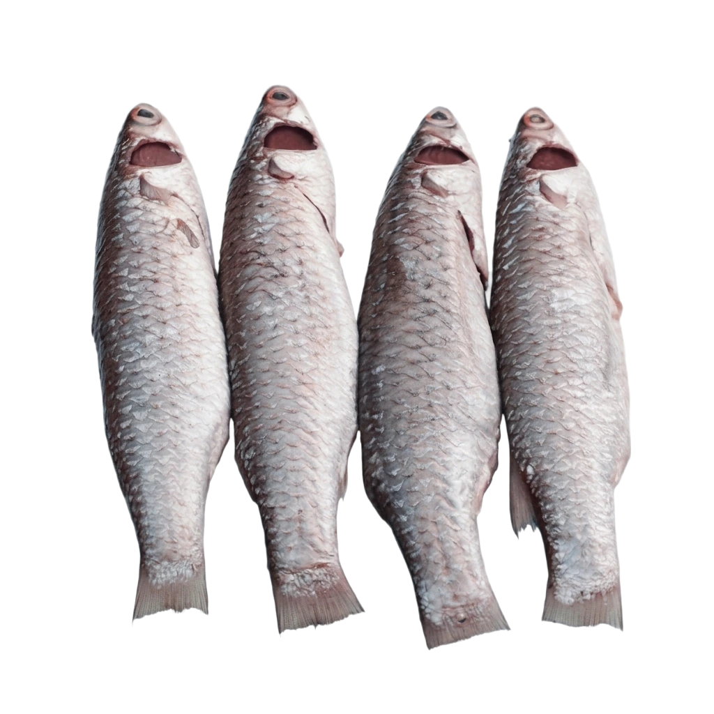 Sundarbans Premium Parshe Fish Clean 500g