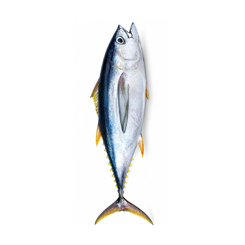 Yellowfin tuna cube 250g